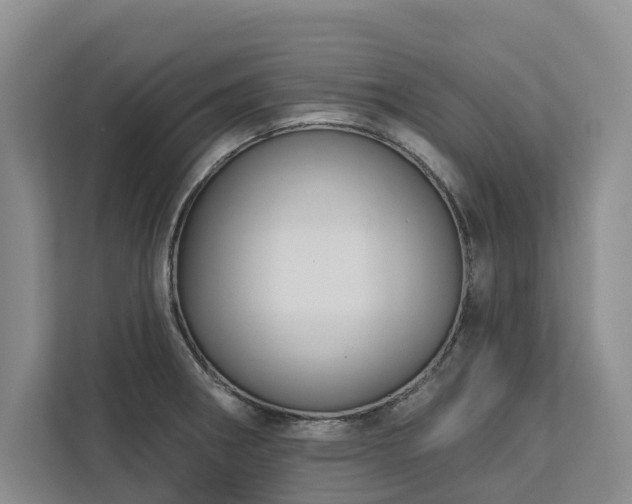 X0000113061282200908281127