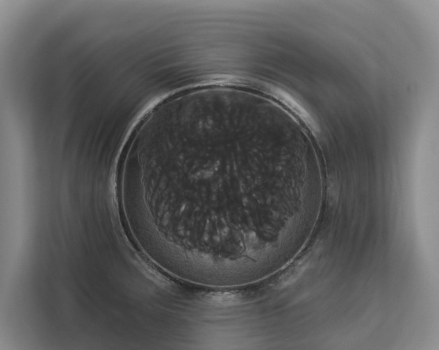 X0000113061283200908281127