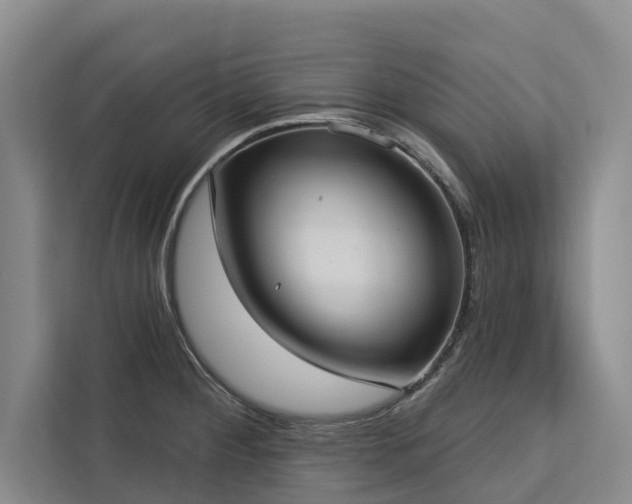 X0000113061284200908281127