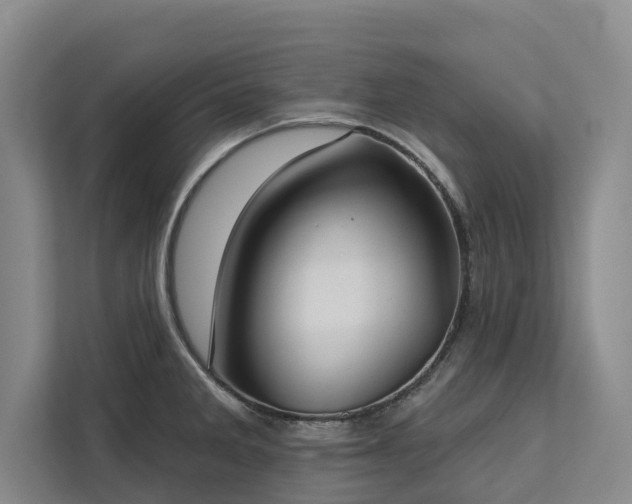 X0000113061285200908281127