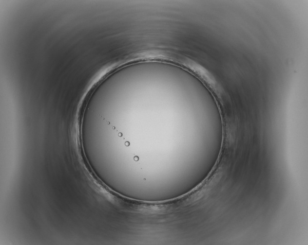 X0000113061286200908281126
