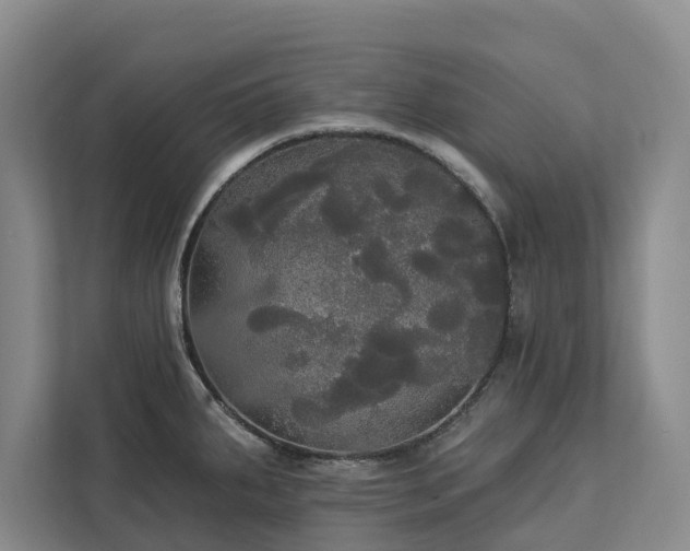 X0000113061287200908281126