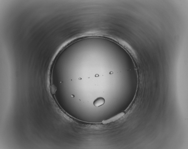 X0000113061288200908281126