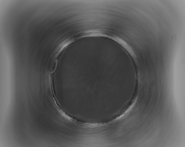 X0000113061289200908281126