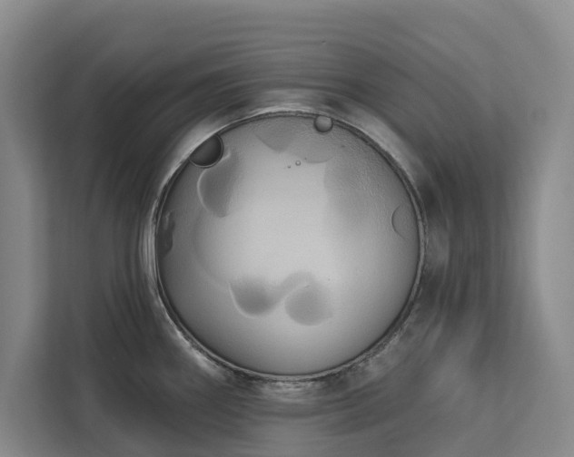 X0000113061290200908281126