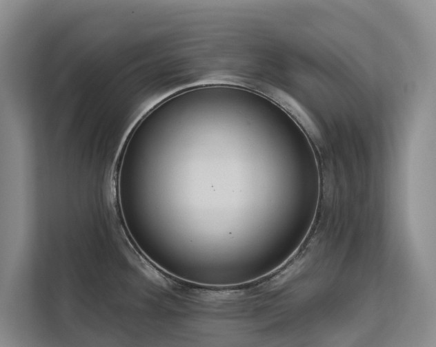 X0000113061292200908281126