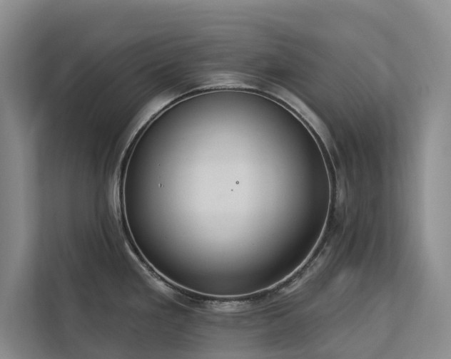 X0000113061293200908281126
