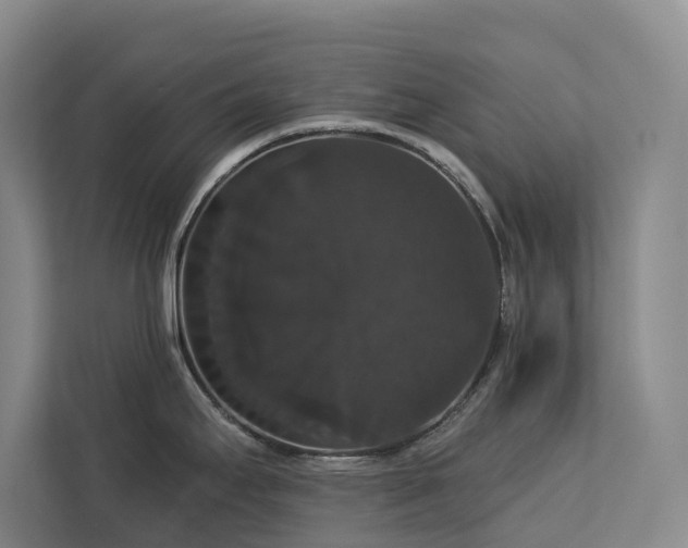 X0000113061295200908281126