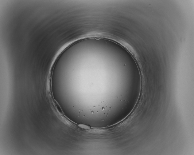 X0000113061296200908281126