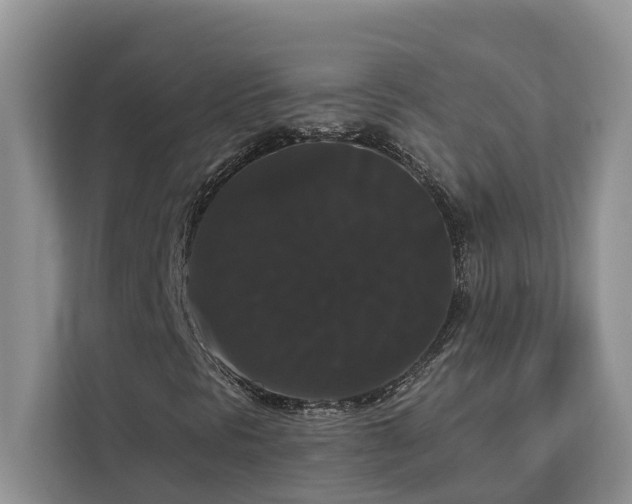 X0000113061297200908281126
