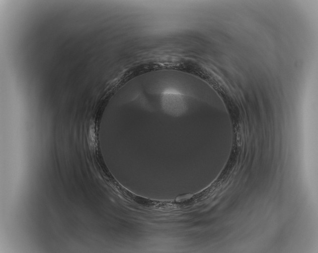 X0000113061298200908281126