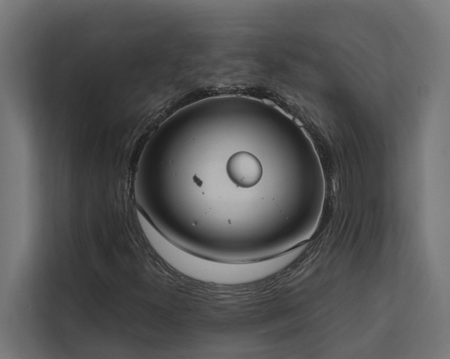 X0000113061300200908281126