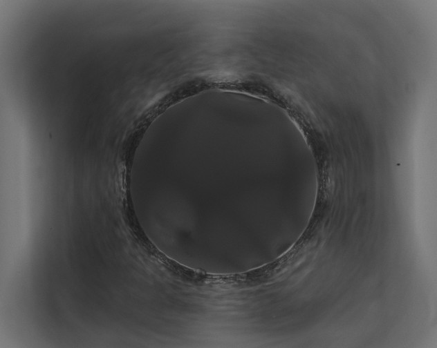 X0000113061301200908281126