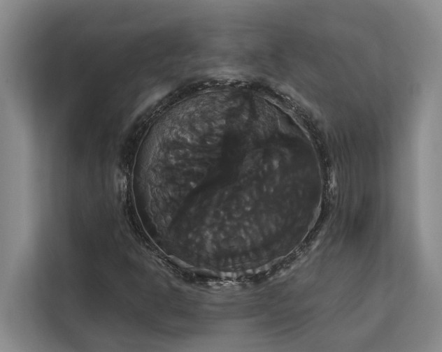 X0000113061302200908281126
