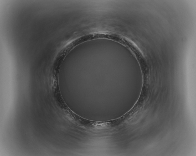 X0000113061303200908281126