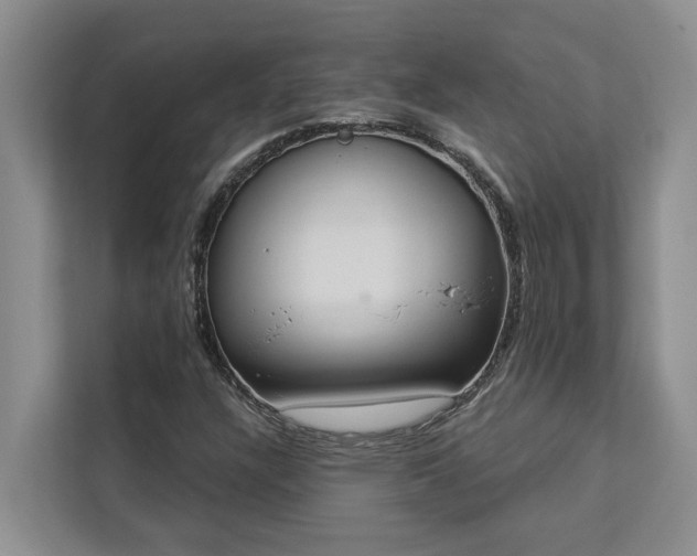 X0000113061304200908281126