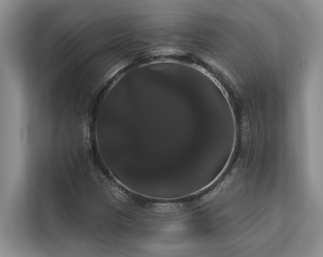 X0000113061305200908281126