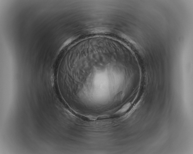 X0000113061306200908281126