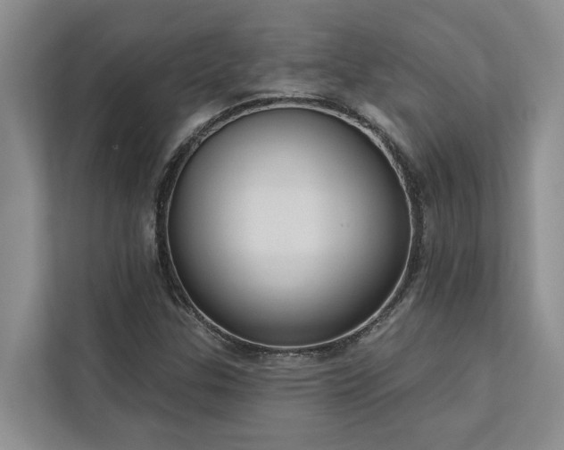 X0000113061307200908281126