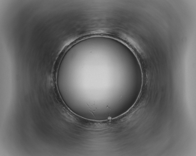 X0000113061308200908281126