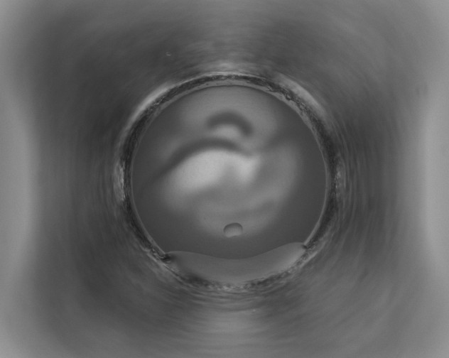 X0000113061310200908281126