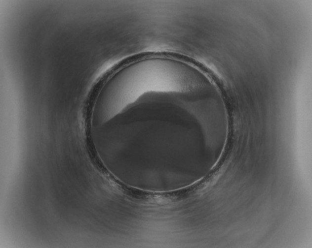 X0000113061311200908281126
