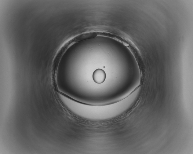 X0000113061312200908281126