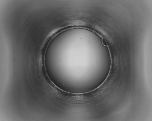 X0000113061315200908281126