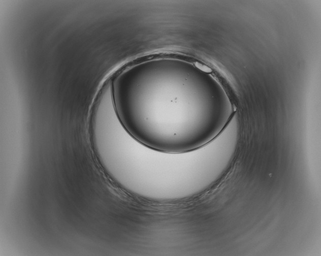 X0000113061316200908281126