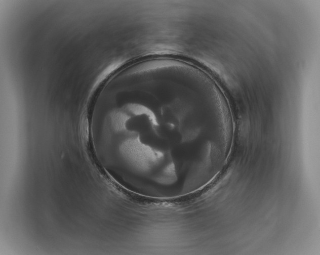 X0000113061317200908281126