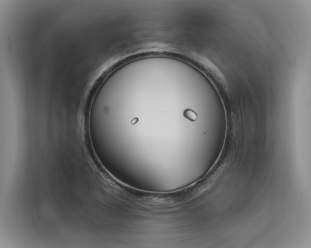 X0000113061318200908281126