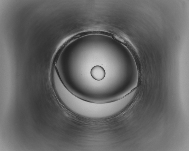 X0000113061320200908281126