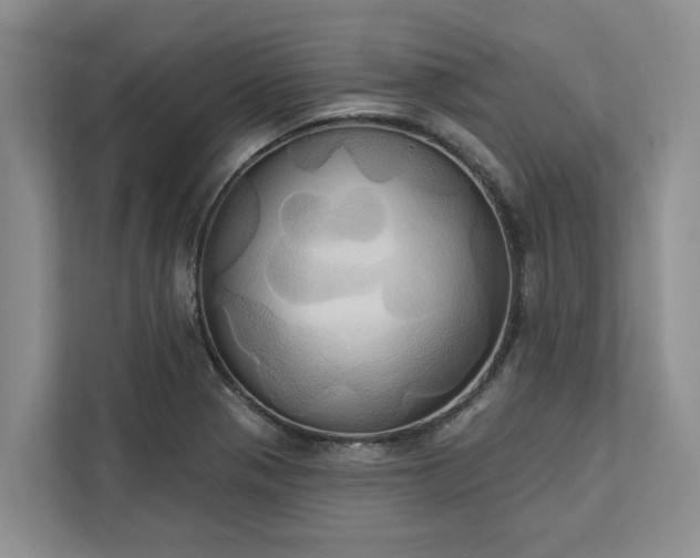 X0000113061321200908281126