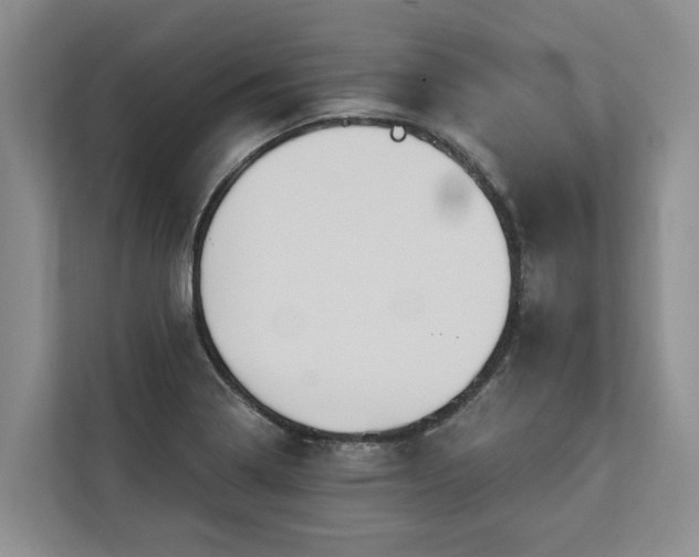 X0000113061322200908281126
