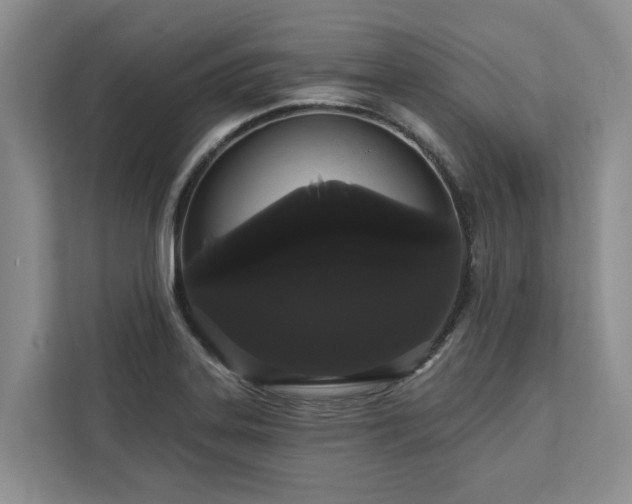 X0000113061323200908281126