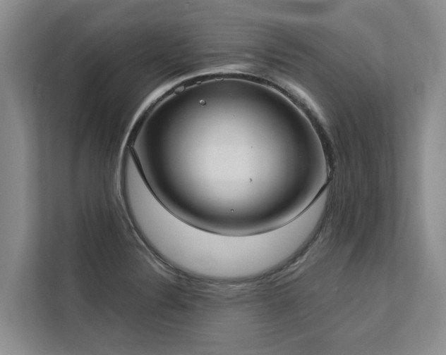 X0000113061324200908281126