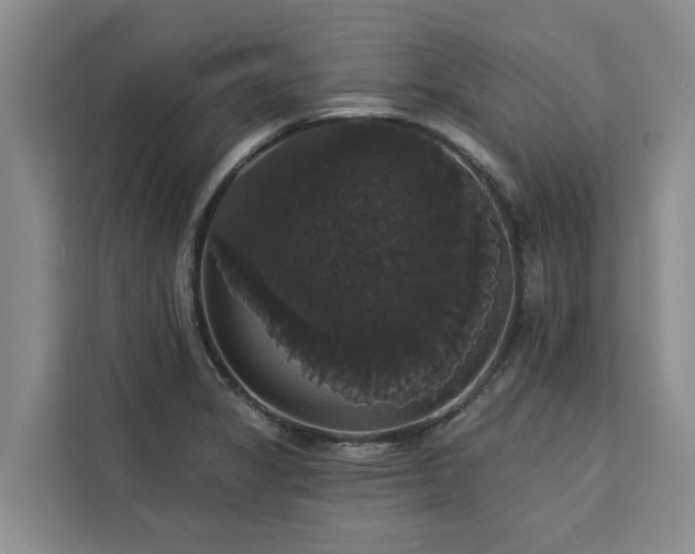 X0000113061325200908281126