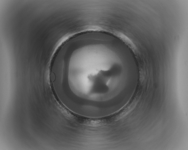 X0000113061326200908281126