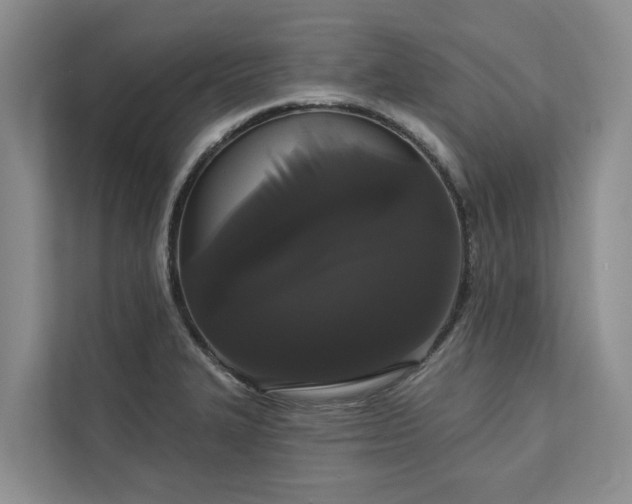 X0000113061327200908281126