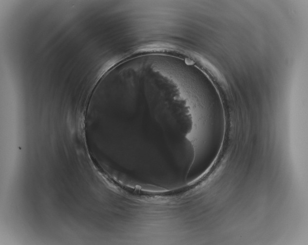 X0000113061329200908281126