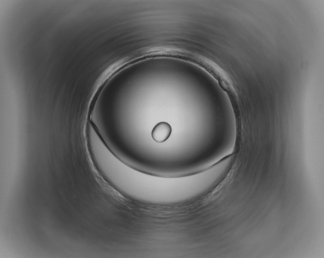 X0000113061330200908281126