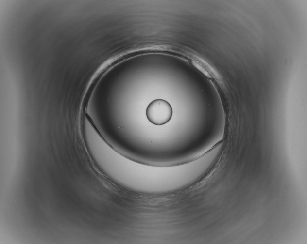 X0000113061332200908281126