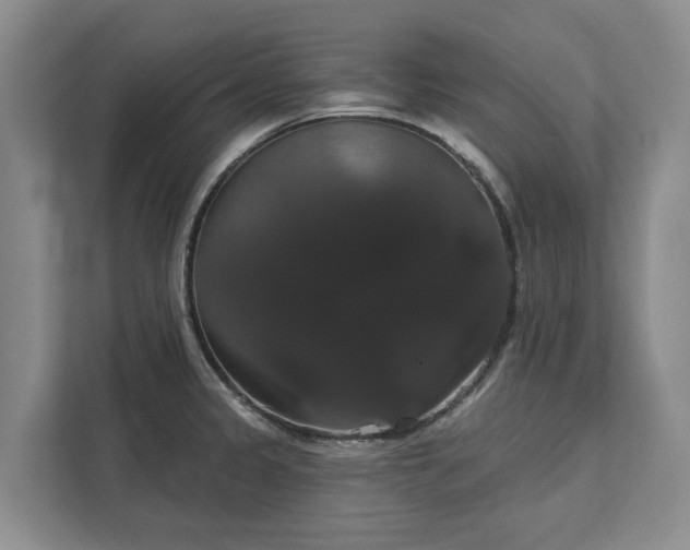 X0000113061333200908281126