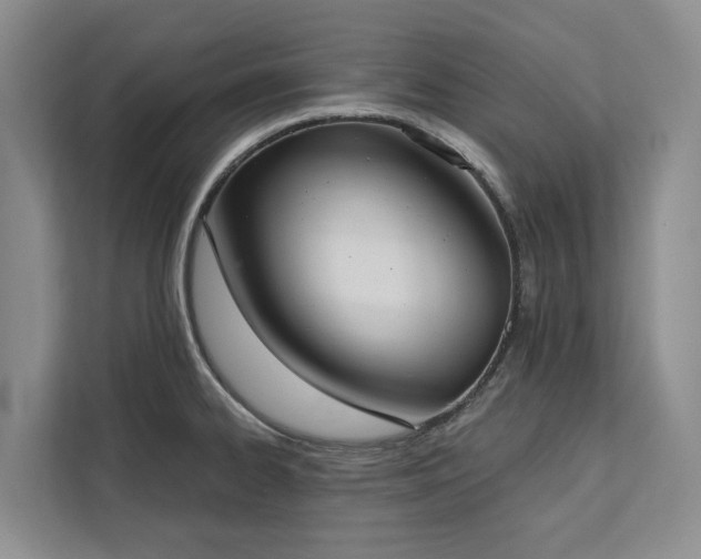 X0000113061334200908281126