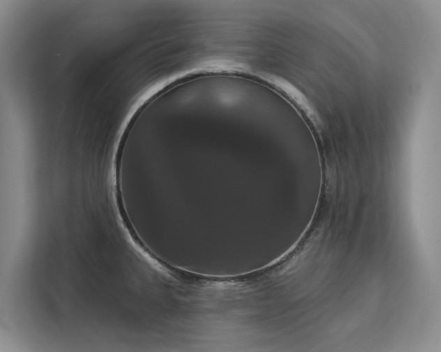 X0000113061335200908281126