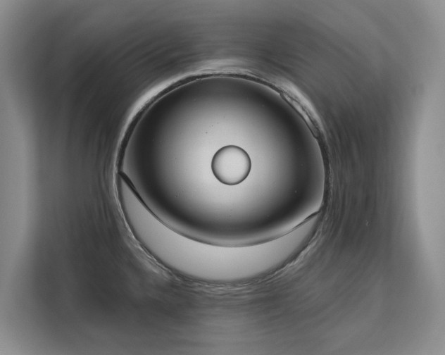 X0000113061336200908281126