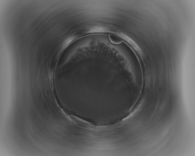 X0000113061337200908281126