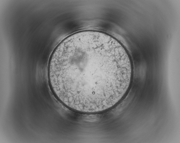X0000113061338200908281126