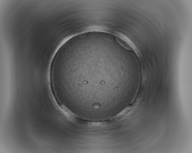 X0000113061339200908281126