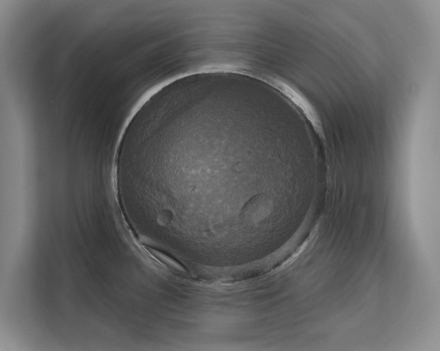 X0000113061340200908281126